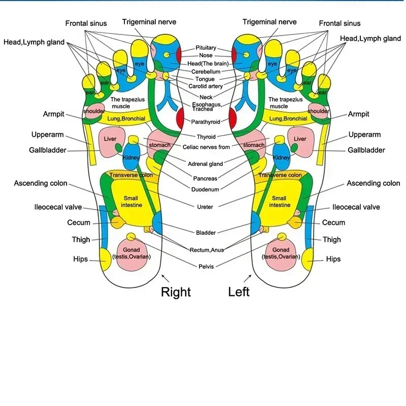 Reflexology Foot Massage Mat Trigger Point Therapy Pad